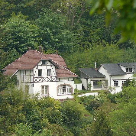La Dependance De La Villa Des Oiseaux - La Petite Pierre Exteriér fotografie