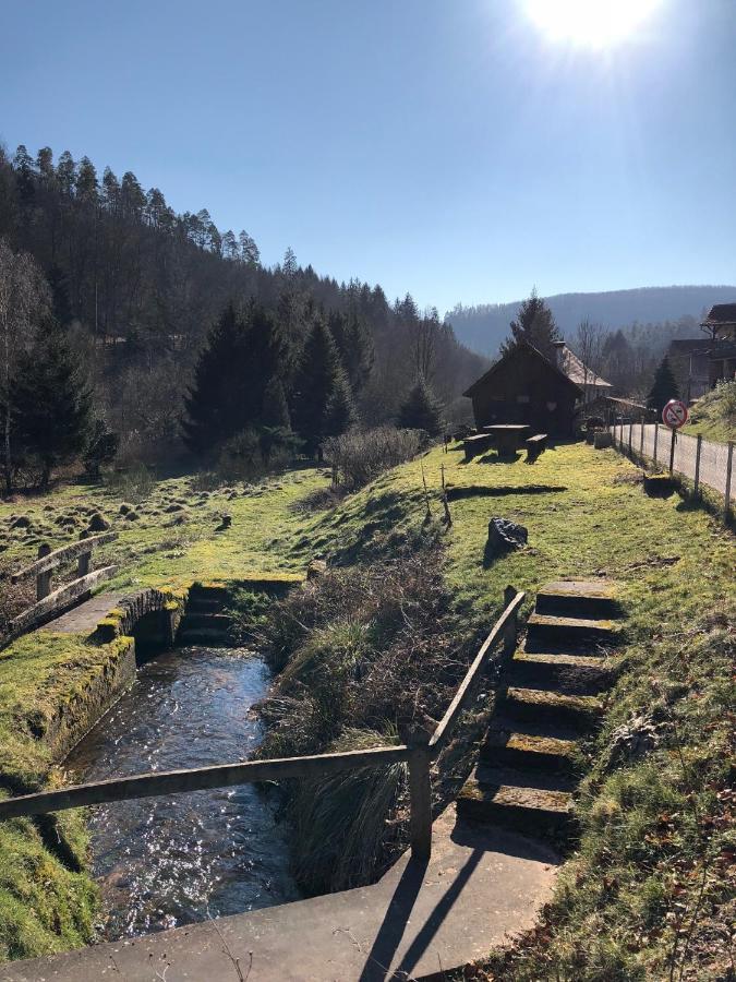La Dependance De La Villa Des Oiseaux - La Petite Pierre Exteriér fotografie