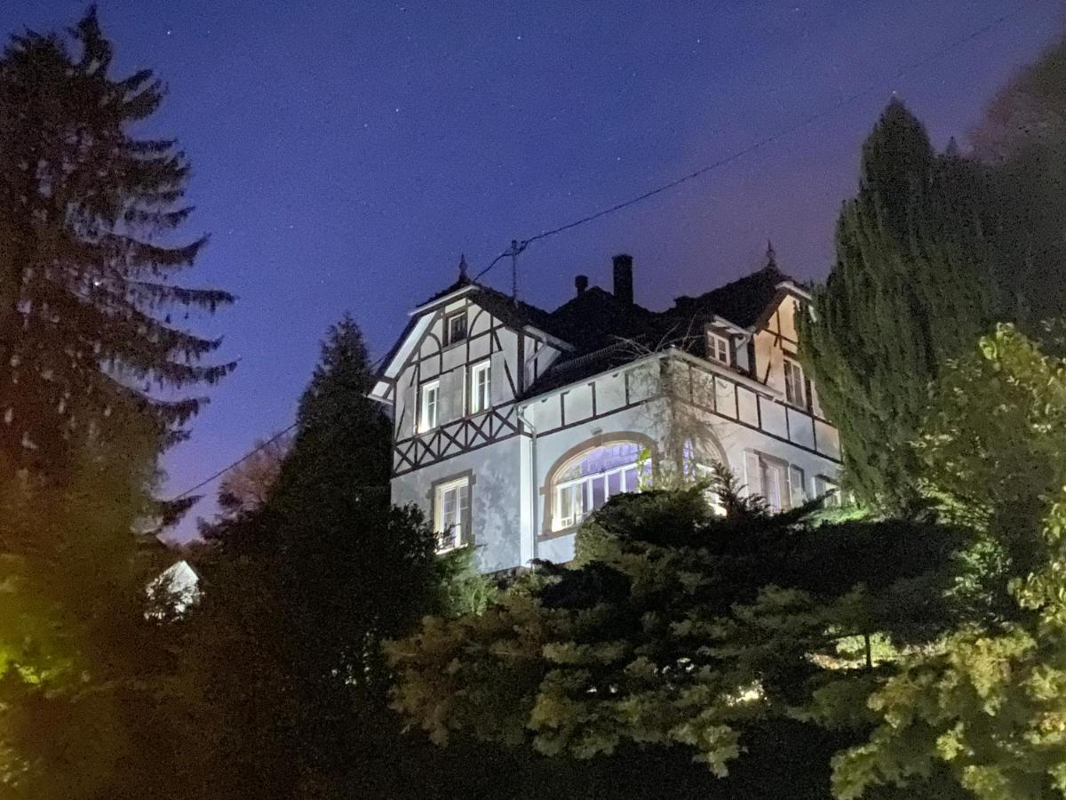La Dependance De La Villa Des Oiseaux - La Petite Pierre Exteriér fotografie