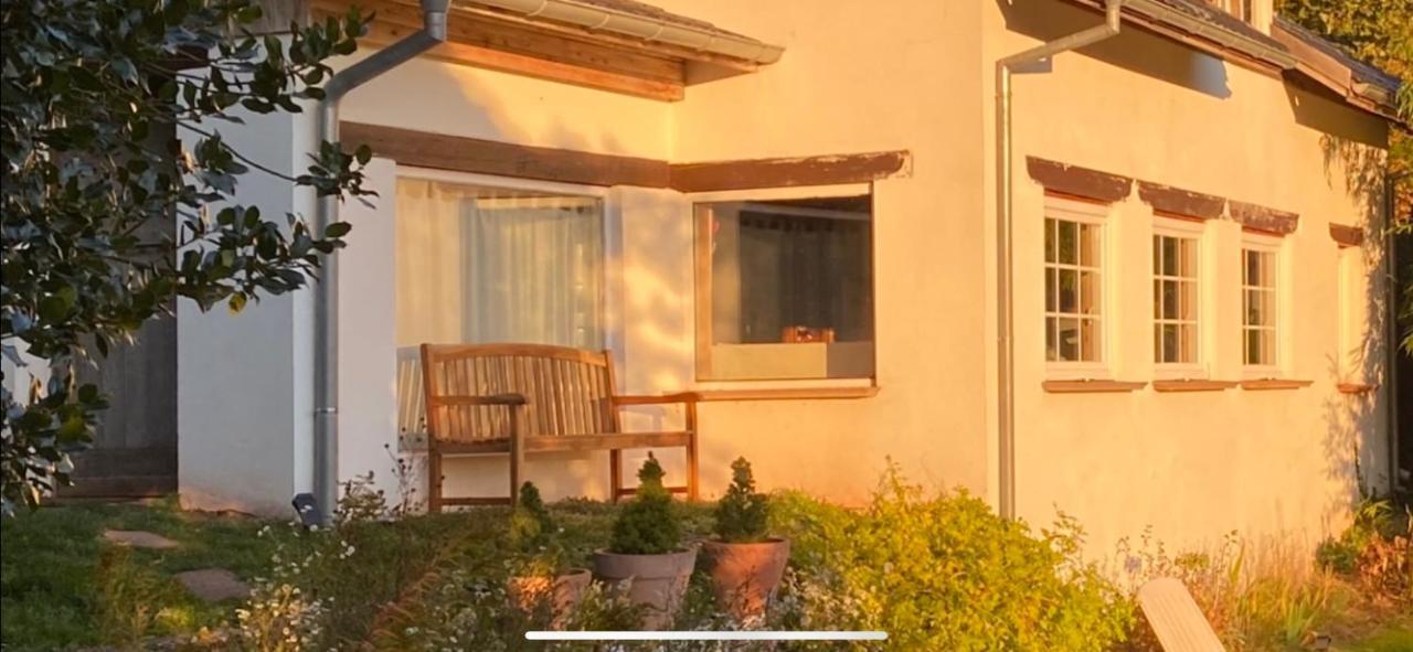 La Dependance De La Villa Des Oiseaux - La Petite Pierre Exteriér fotografie