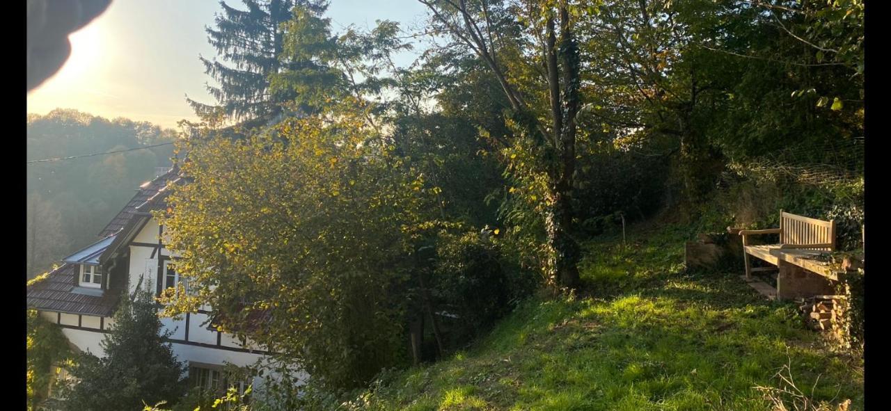 La Dependance De La Villa Des Oiseaux - La Petite Pierre Exteriér fotografie