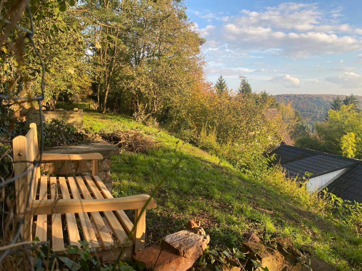 La Dependance De La Villa Des Oiseaux - La Petite Pierre Exteriér fotografie