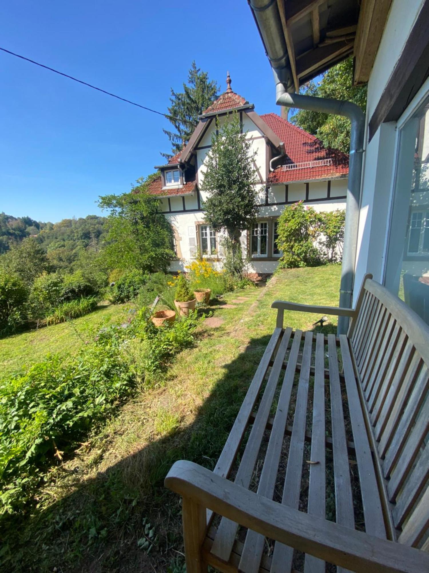 La Dependance De La Villa Des Oiseaux - La Petite Pierre Exteriér fotografie