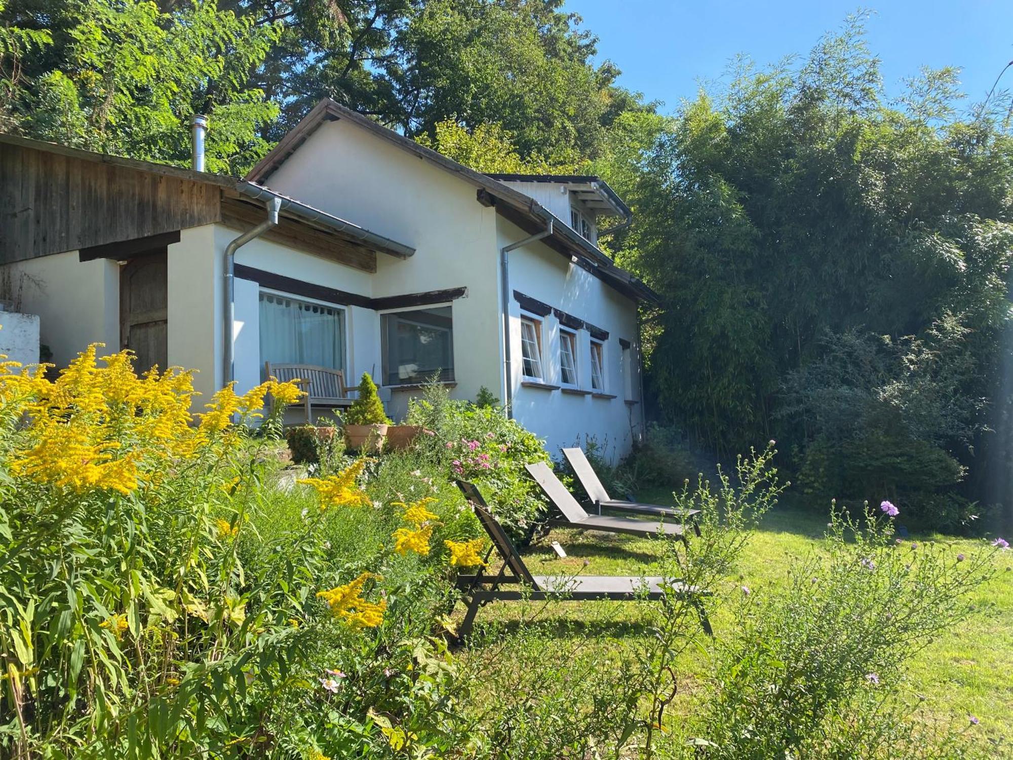 La Dependance De La Villa Des Oiseaux - La Petite Pierre Exteriér fotografie