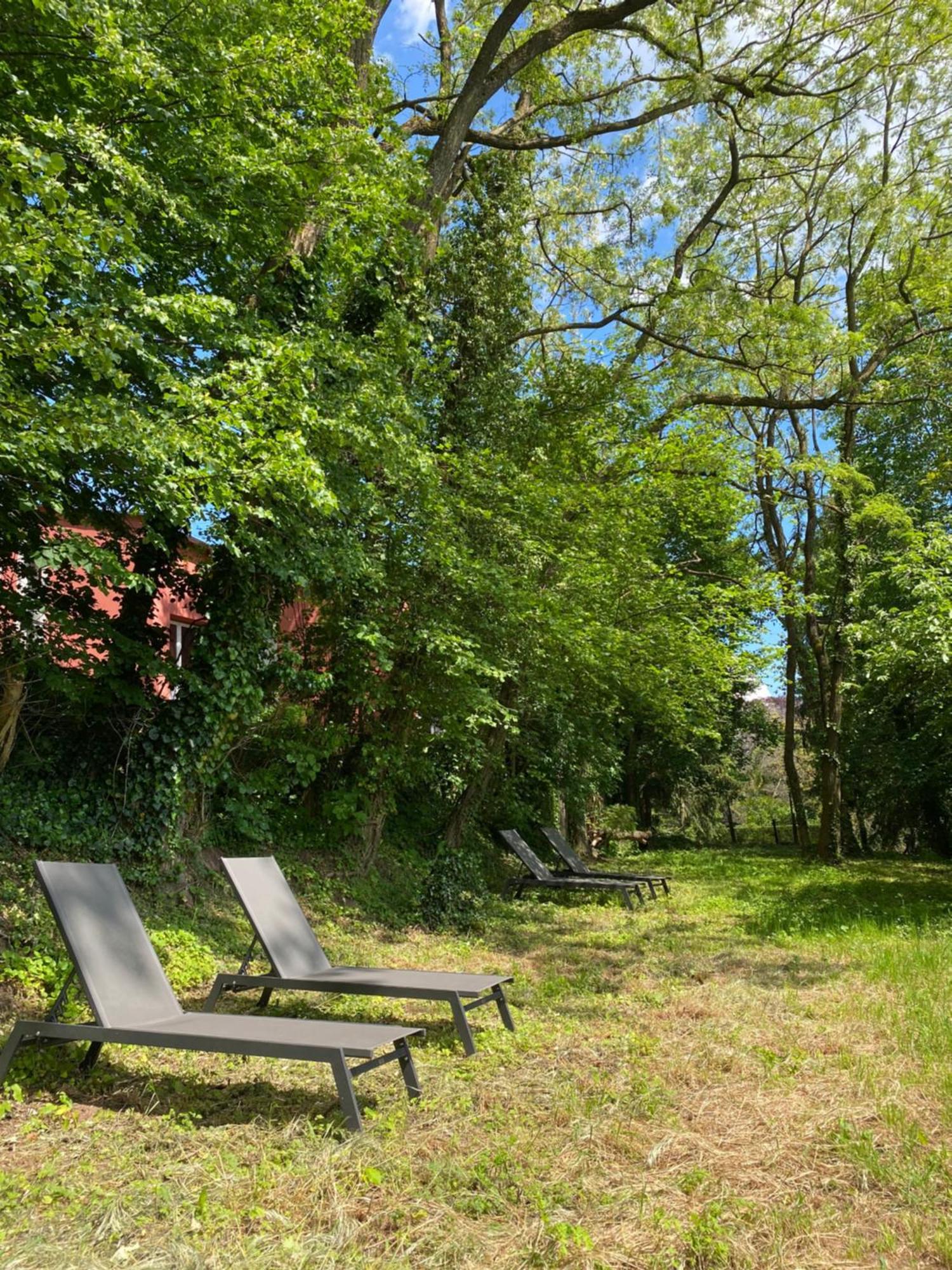 La Dependance De La Villa Des Oiseaux - La Petite Pierre Exteriér fotografie