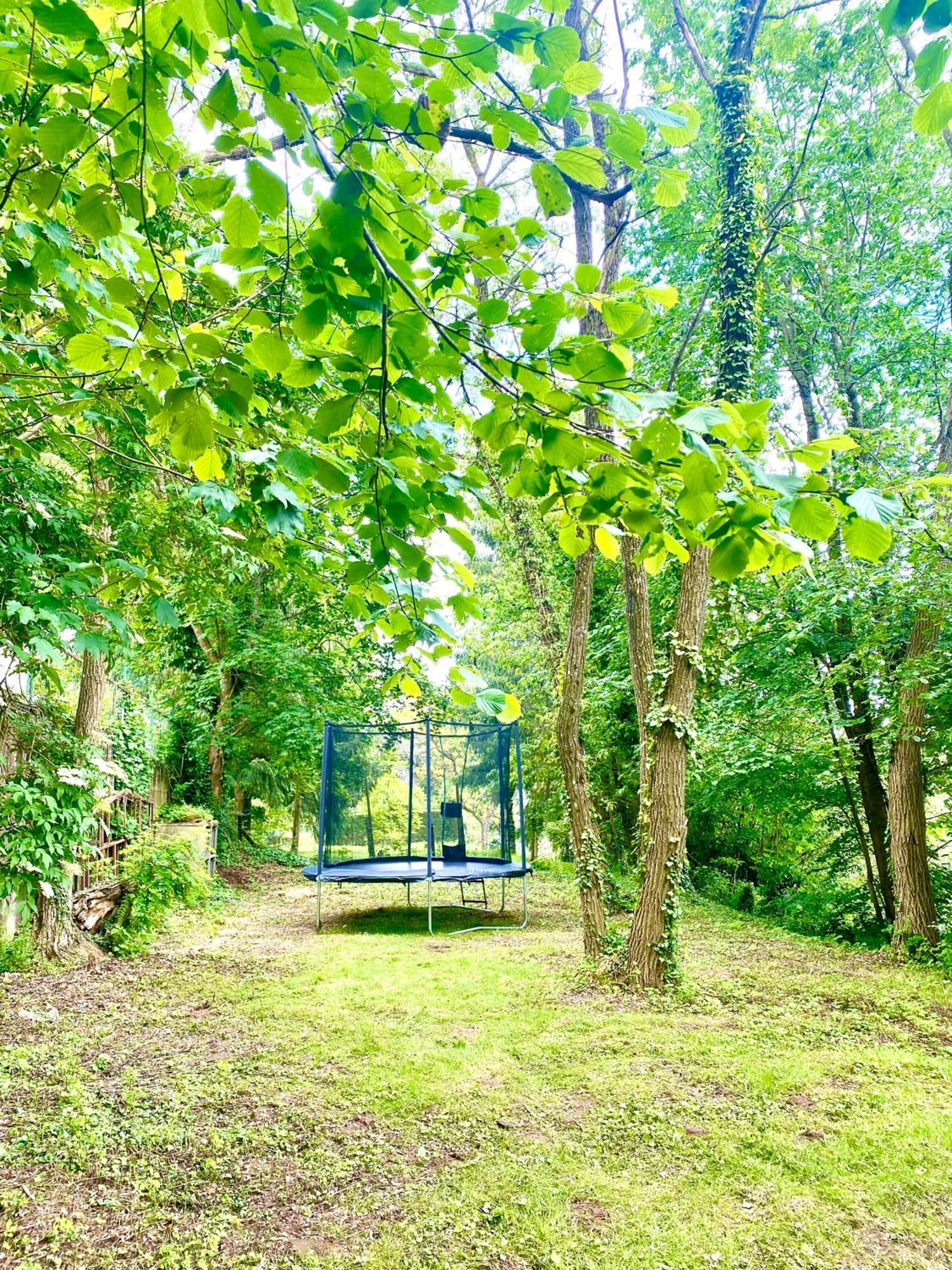 La Dependance De La Villa Des Oiseaux - La Petite Pierre Exteriér fotografie