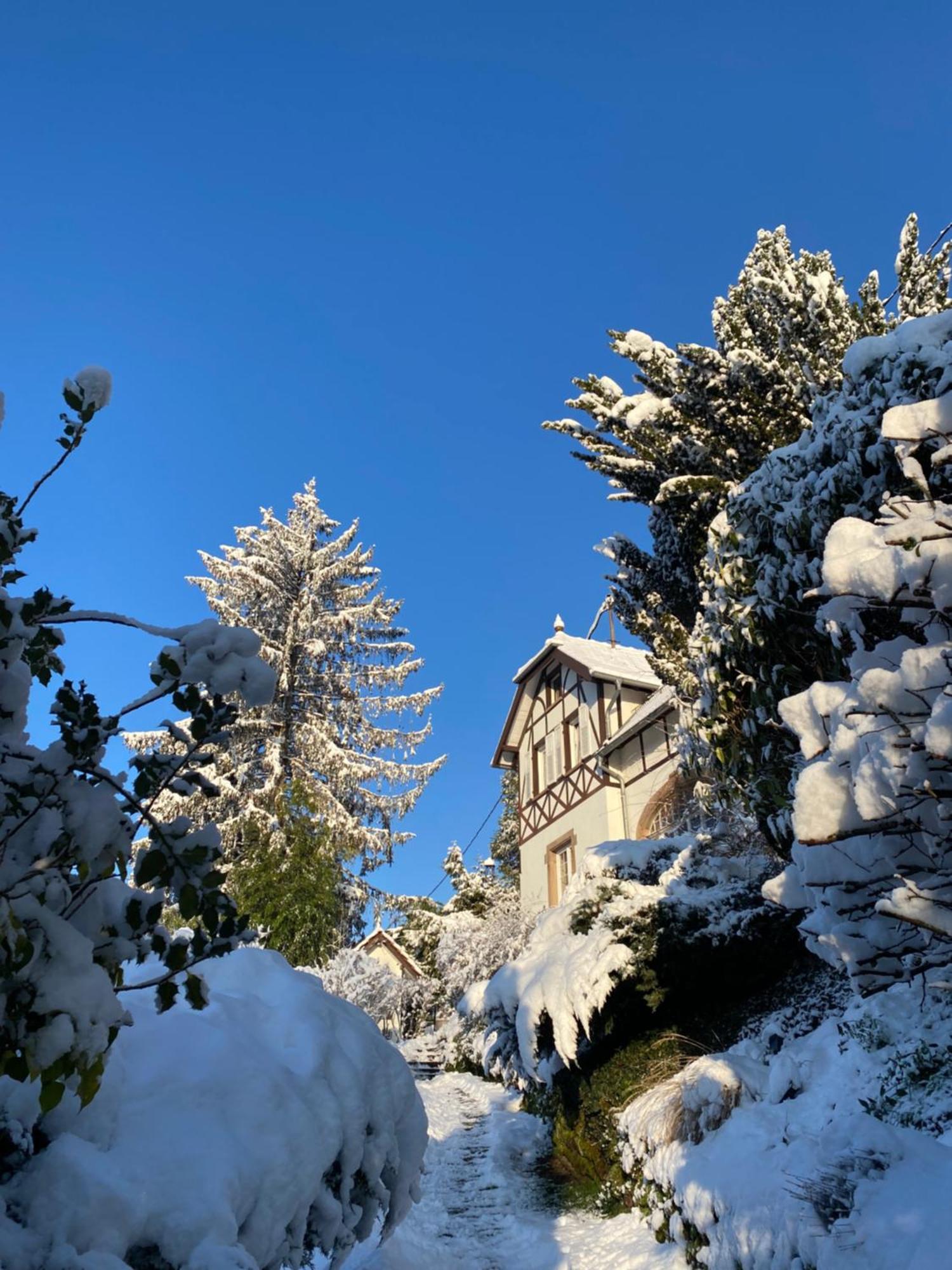 La Dependance De La Villa Des Oiseaux - La Petite Pierre Exteriér fotografie