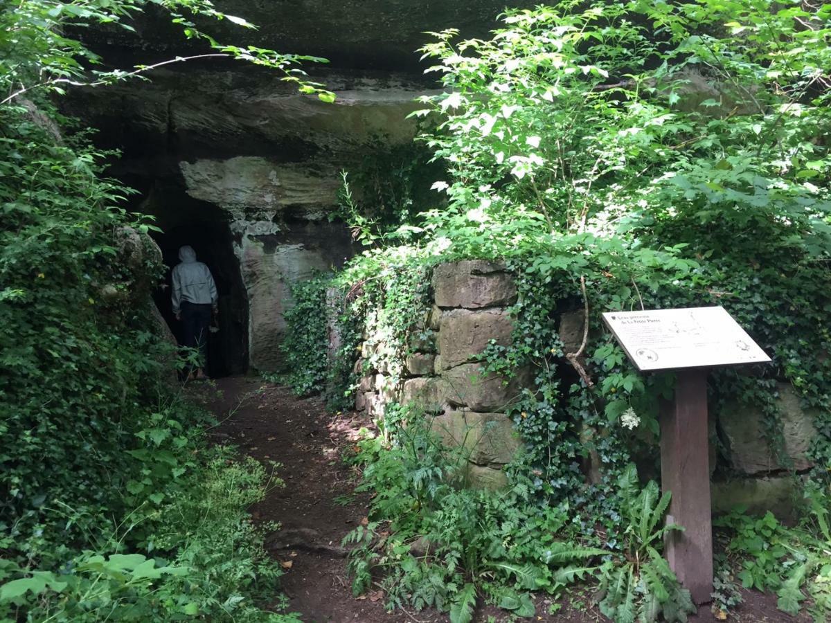 La Dependance De La Villa Des Oiseaux - La Petite Pierre Exteriér fotografie