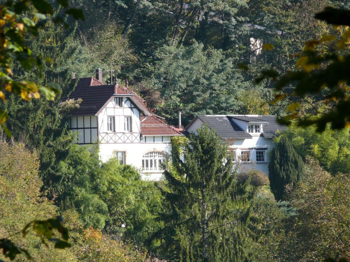 La Dependance De La Villa Des Oiseaux - La Petite Pierre Exteriér fotografie